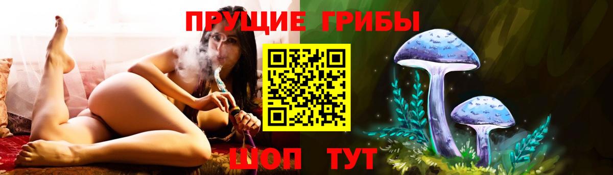 Псилоцибиновые грибы Psilocybine cubensis Ялта